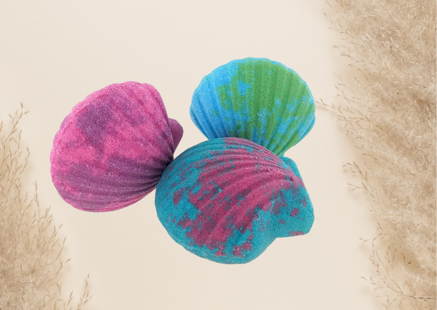 Coquillage de bain